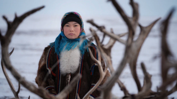 Ямал: зимнее экспедиционное путешествие с РГО к ненцам-оленеводам