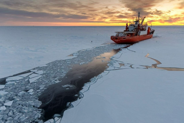 Работы Арктического и антарктического научно-исследовательского института в 2025 году