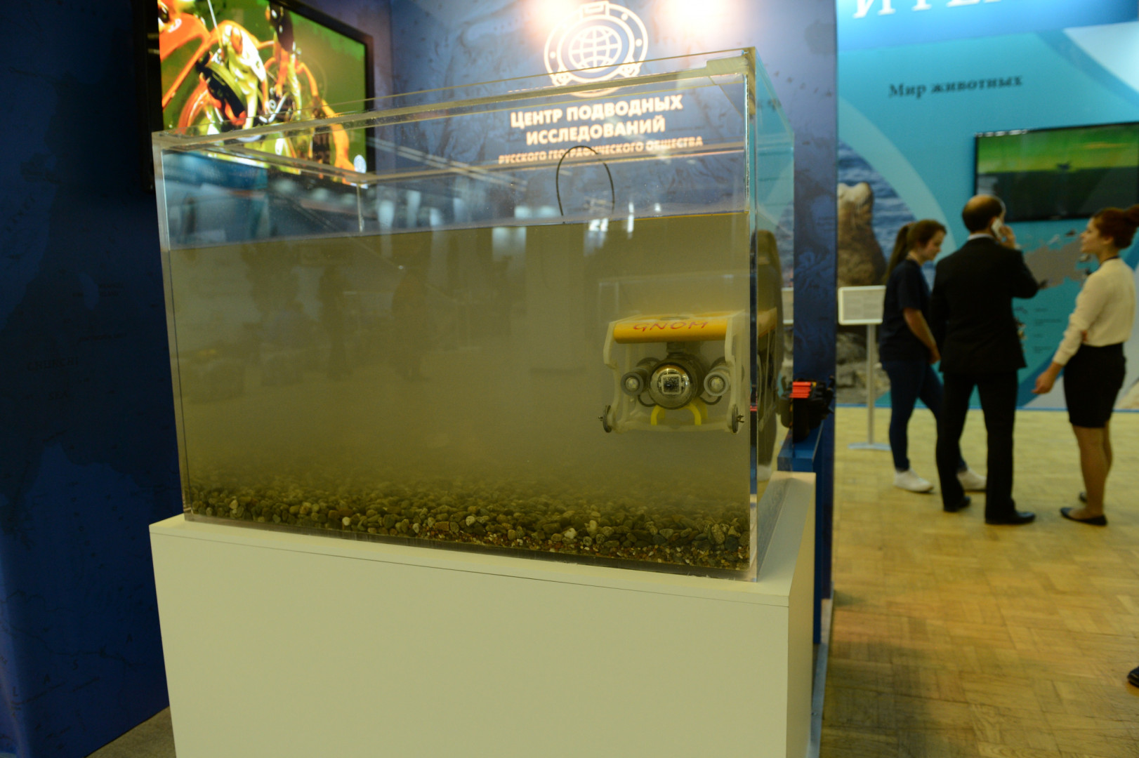 II Фестиваль Русского географического общества.