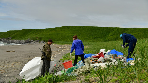 От чего гибнут киты: учёные классифицировали мусор на побережье Охотского моря