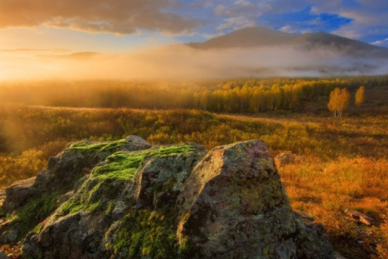Day of reconciliation of "owls" and "larks"