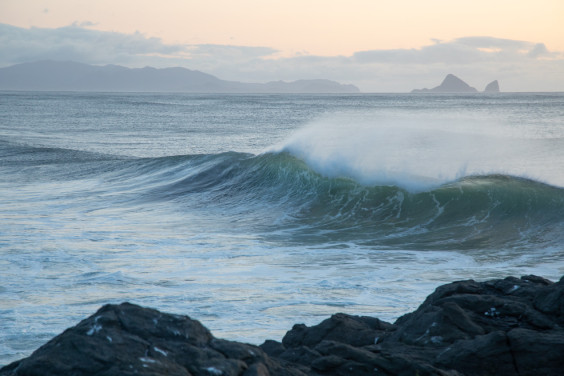 "Such events are called mega-earthquakes": an expert assessed the natural disaster in Kamchatka