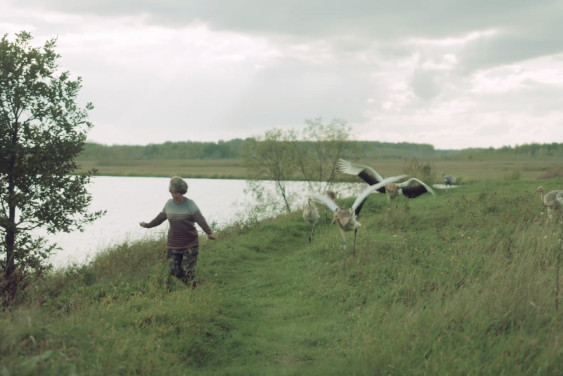 Альтернативный мир: где и как пересекаются люди и дикие животные и нужно ли им это