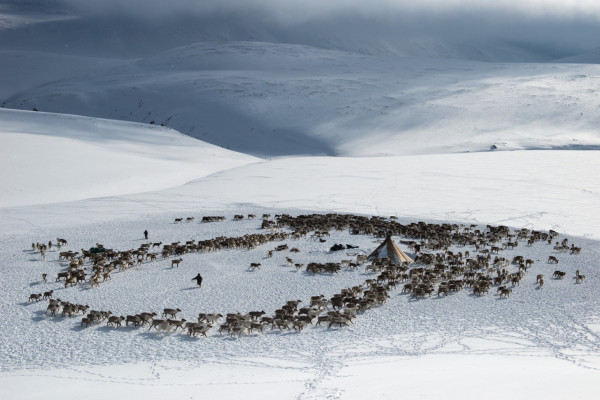 География природного и культурного наследия Арктики: Ямал