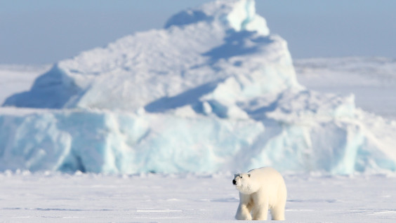 Как ведет себя Арктика в эпоху быстрых изменений
