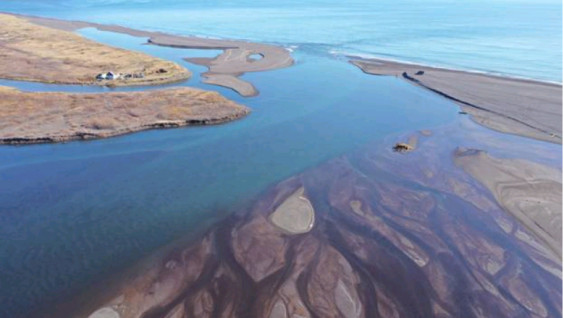 Учёные РГО о Камчатке: всё указывает на природные причины замора в океане
