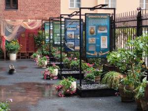 Экскурсия по исторической Штаб-квартире РГО в Санкт-Петербурге