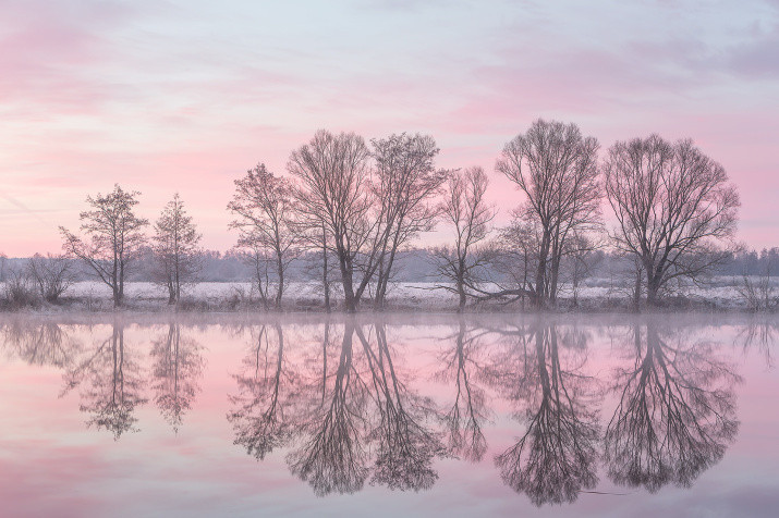 Reflections of Spring