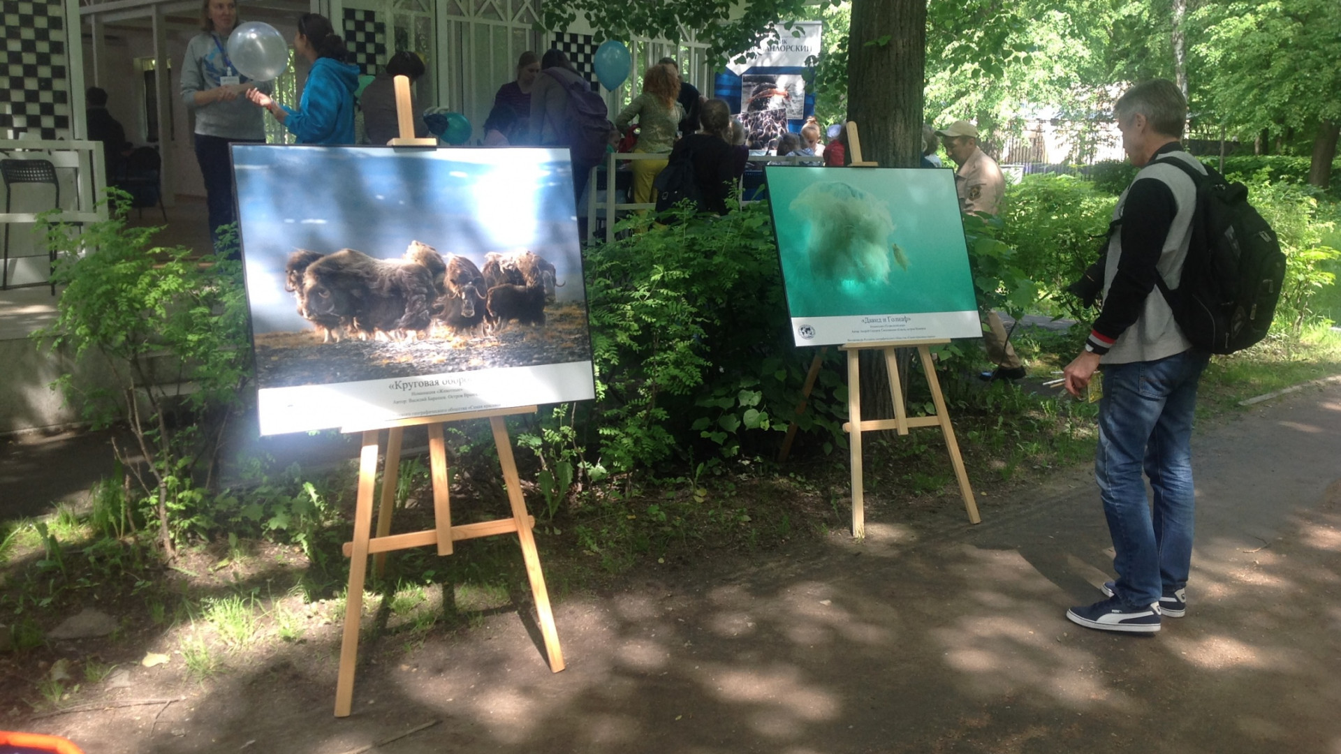 ДЕНЬ РГО В ИЗМАЙЛОВСКОМ ПАРКЕ