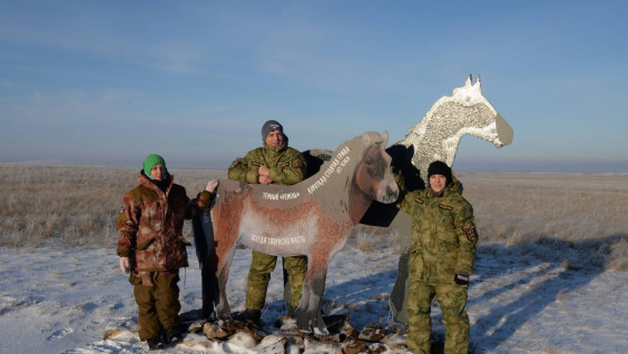 В Хакасском заповеднике будут восстанавливать популяцию лошади Пржевальского