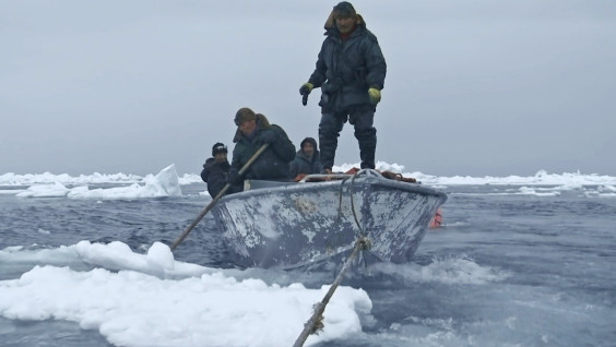 Истории и мифы морских охотников Чукотки покажут на "Артдокфесте"