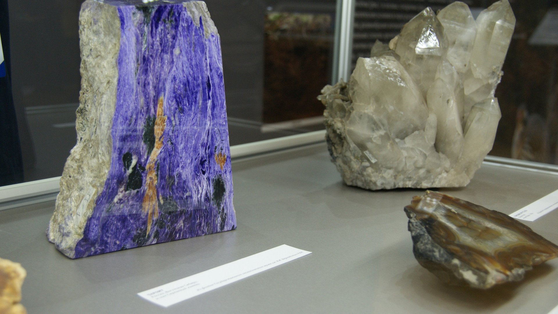 II Фестиваль Русского географического общества.