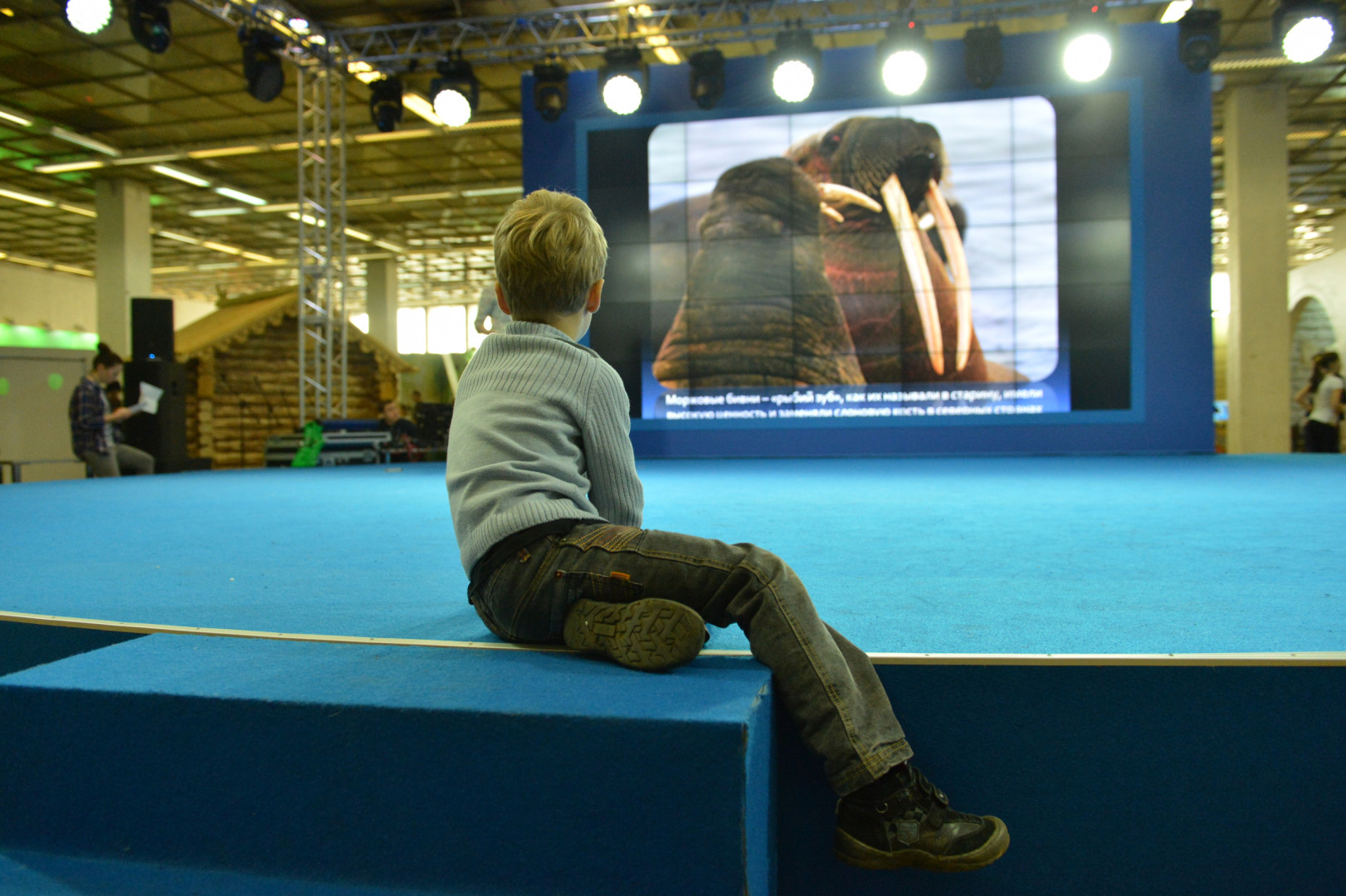 II Фестиваль Русского географического общества.