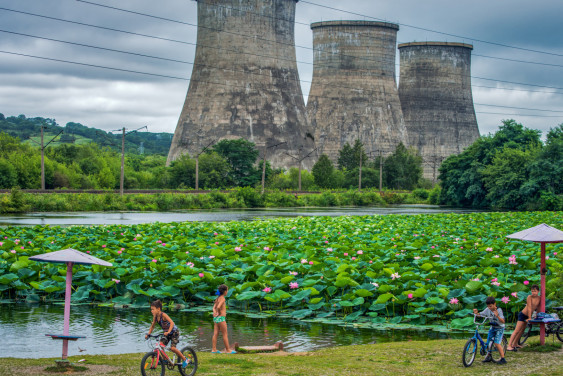 Будут ли в Подмосковье расти бананы? Эксперты РГО обсудят последствия климатических изменений 