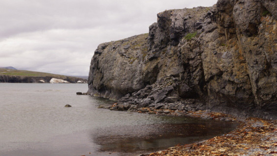 Russian Students Discovered a New Island in the Arctic