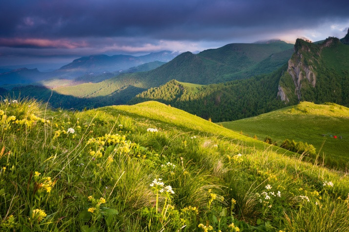 Adygea Regional Office