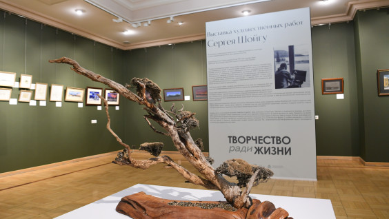 Выставка Сергея Шойгу открылась в Казанском кремле