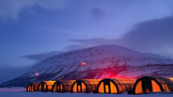 The Arctic