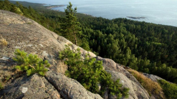 Hogland Expedition: 6th Season Completed