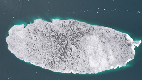 Mesyatsev Island Completely Disappears in the Arctic