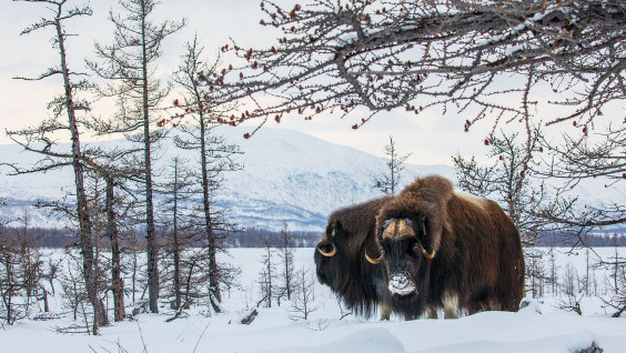 На станции метро "Выставочная" открылась фотовыставка РГО