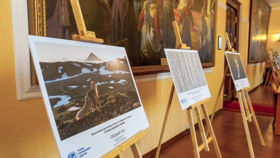 "Самая красивая страна" в Краснодаре