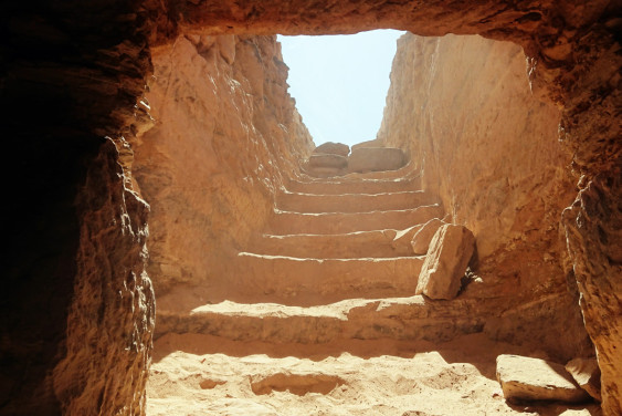 Egyptologist Patrizia Piacentini: "Our Work is a Great Scientific and Human Adventure"