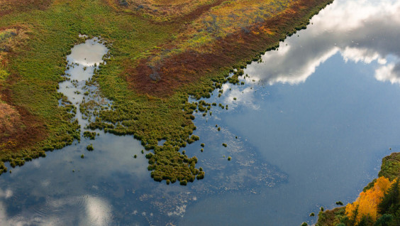 2 февраля – Всемирный день водно-болотных угодий