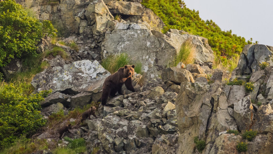 День Магаданской области пройдет в Штаб-квартире РГО в Москве