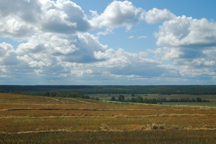 Tyumen Regional Department