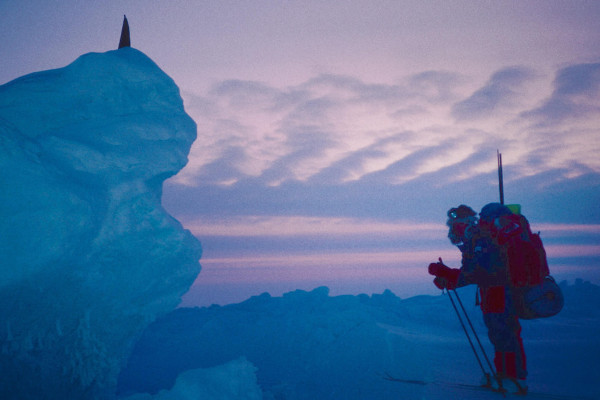 Северный полюс: дойти и вернуться