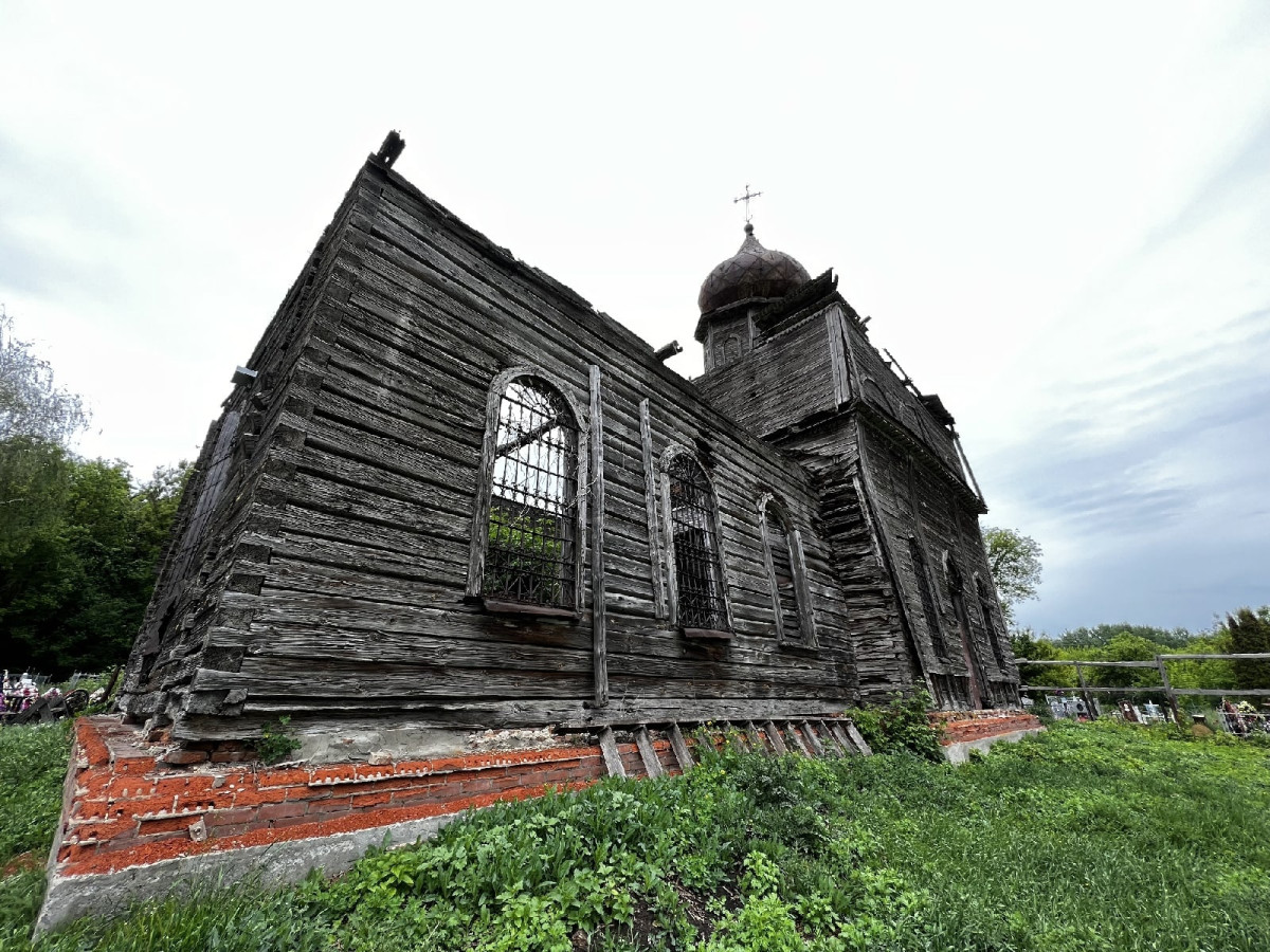 Фото: Вероника Кузнецова/лаборатория дендрохронологии Института географии РАН