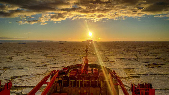 К берегам Южного континента: из Петербурга стартует 68-я Российская антарктическая экспедиция